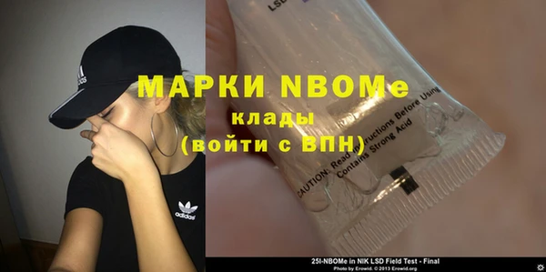 ПСИЛОЦИБИНОВЫЕ ГРИБЫ Осинники