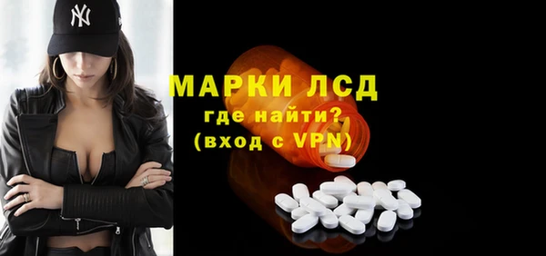 ПСИЛОЦИБИНОВЫЕ ГРИБЫ Осинники