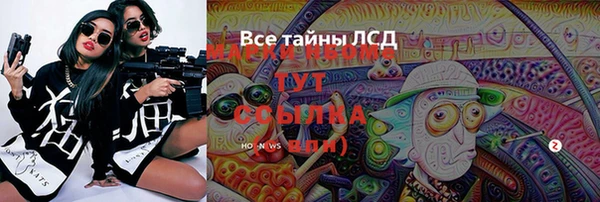 ПСИЛОЦИБИНОВЫЕ ГРИБЫ Осинники