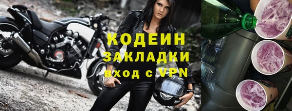 кокс Елизово