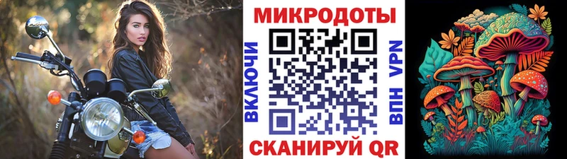 Псилоцибиновые грибы MAGIC MUSHROOMS  продажа наркотиков  Зея 